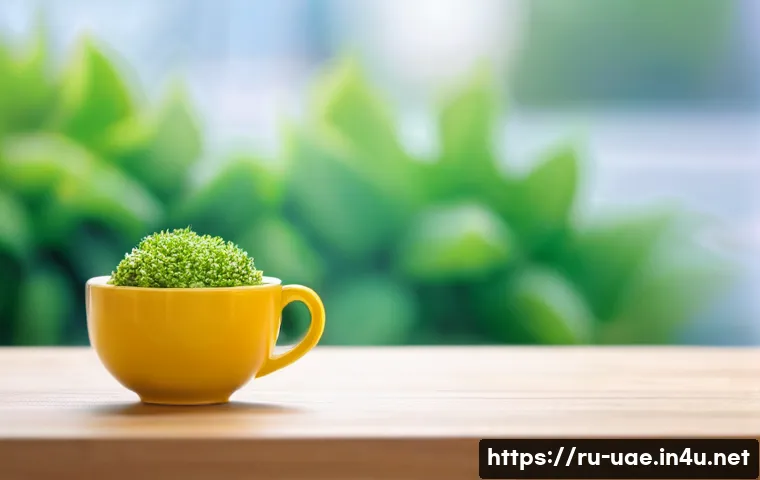 아부다비 전기자동차 충전소 관련 이미지 1